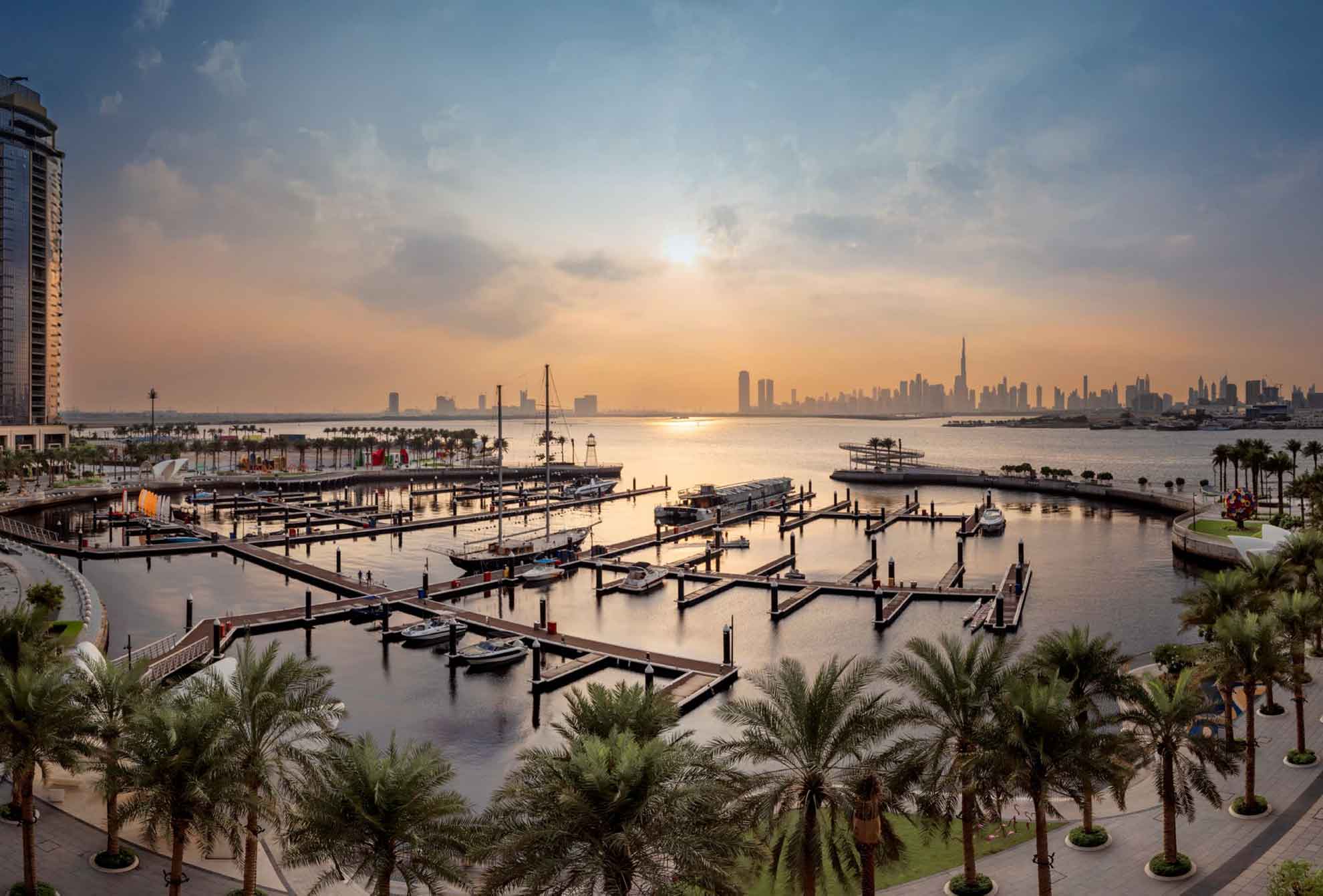 Albero Connecting the Arabian Gulf